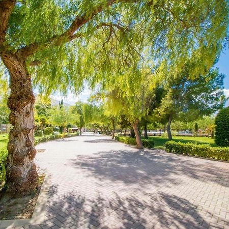 Apartamentos Villa Madrid Торевьиа Экстерьер фото