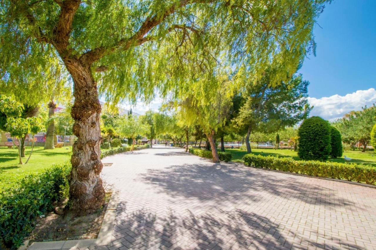 Apartamentos Villa Madrid Торевьиа Экстерьер фото